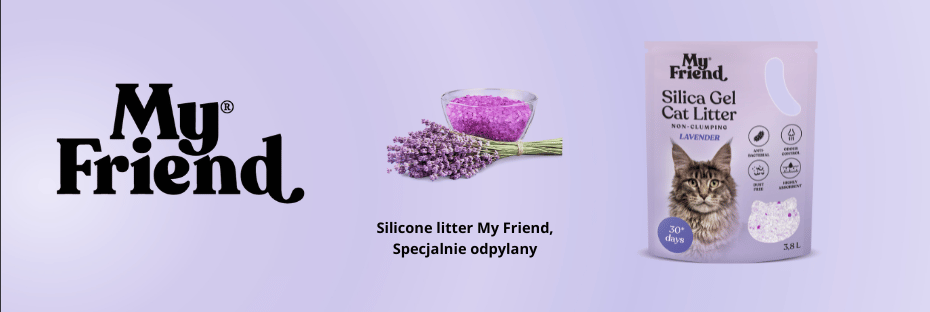 My Friend Silica Lavender 3,8l